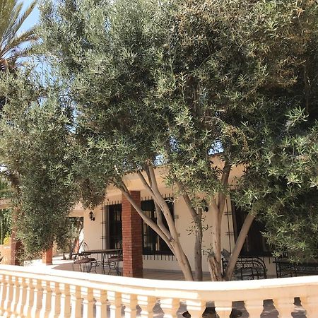 Tiguimi Vacances - Oasis Villas, Cadre Naturel Et Vue Montagne 阿加迪尔 外观 照片
