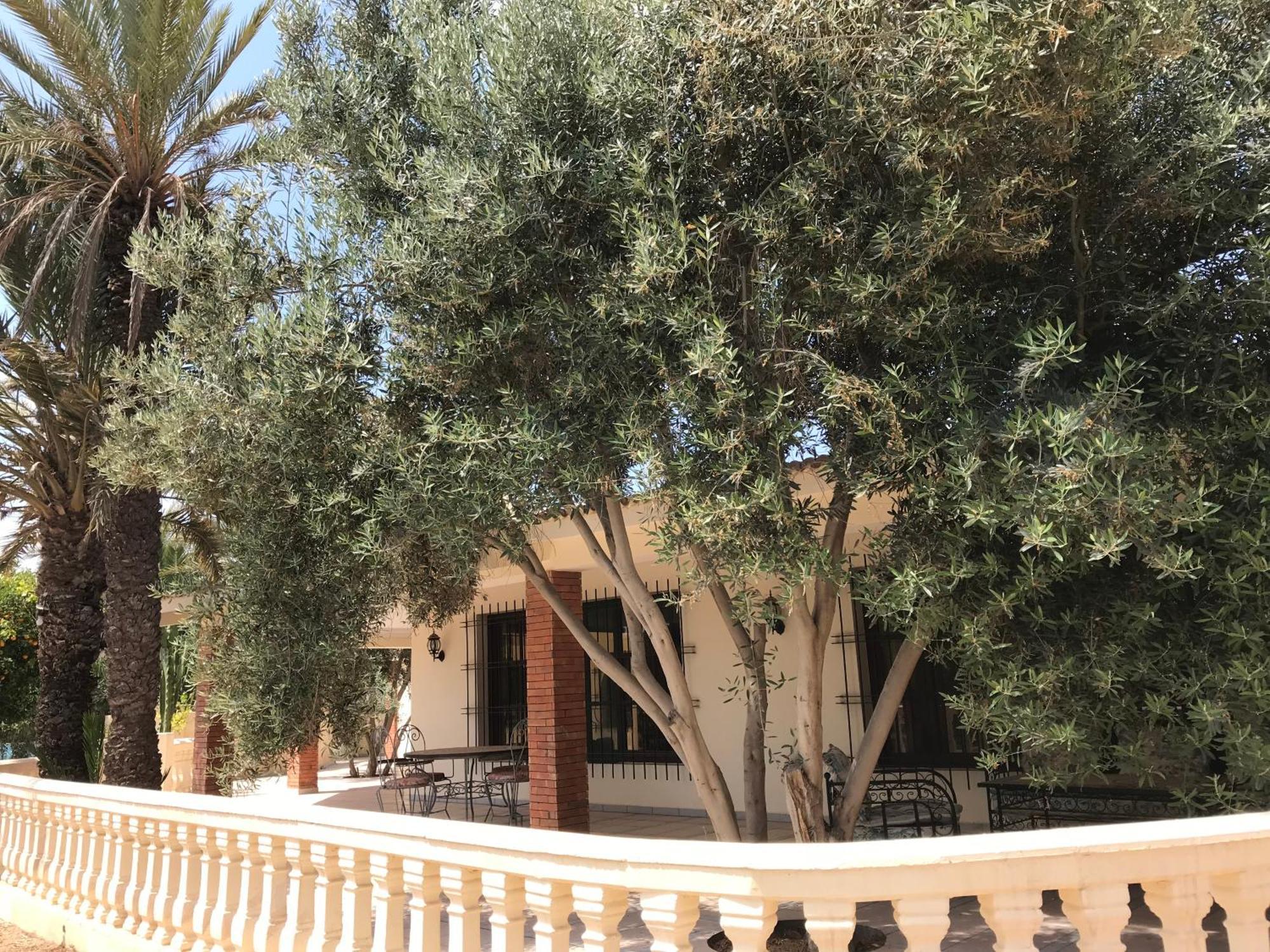Tiguimi Vacances - Oasis Villas, Cadre Naturel Et Vue Montagne 阿加迪尔 外观 照片