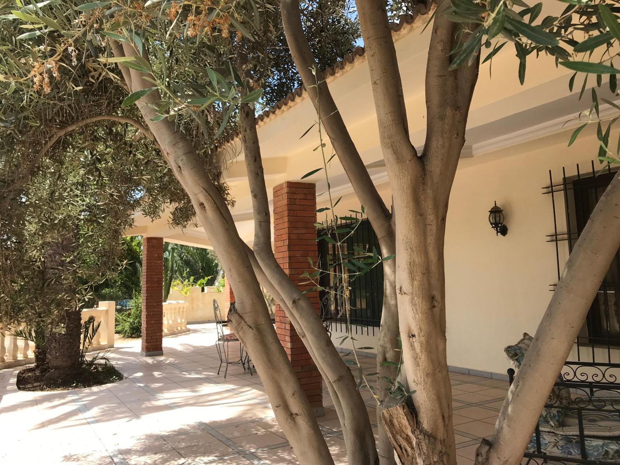 Tiguimi Vacances - Oasis Villas, Cadre Naturel Et Vue Montagne 阿加迪尔 外观 照片