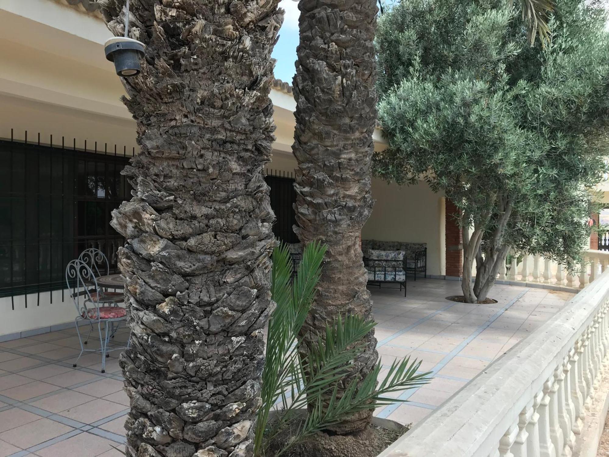 Tiguimi Vacances - Oasis Villas, Cadre Naturel Et Vue Montagne 阿加迪尔 外观 照片