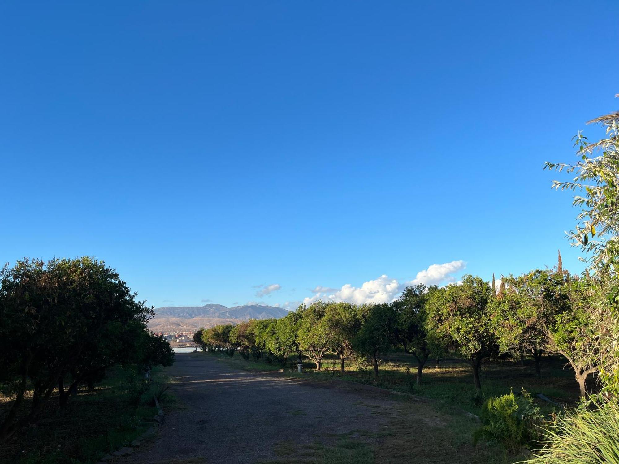 Tiguimi Vacances - Oasis Villas, Cadre Naturel Et Vue Montagne 阿加迪尔 外观 照片