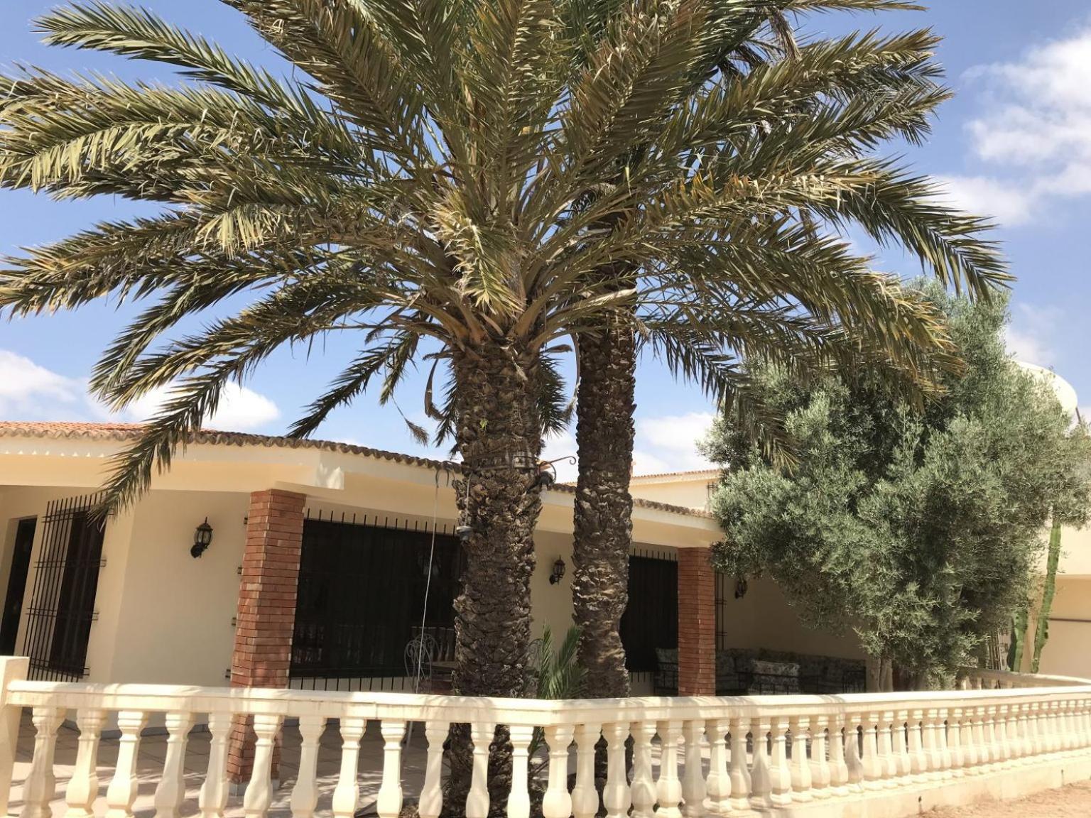 Tiguimi Vacances - Oasis Villas, Cadre Naturel Et Vue Montagne 阿加迪尔 外观 照片